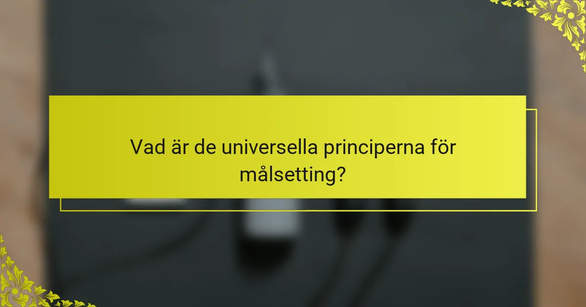 Vad är de universella principerna för målsetting?