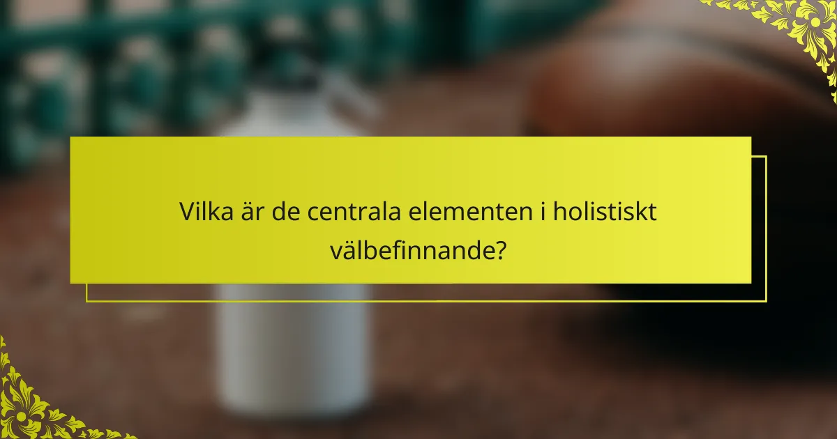 Vilka är de centrala elementen i holistiskt välbefinnande?